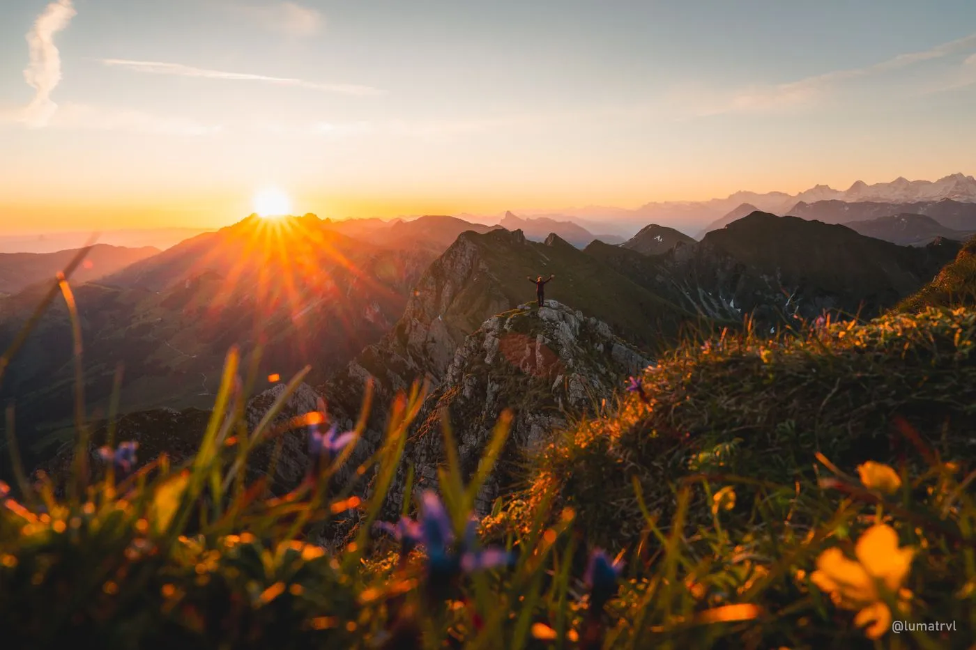 Low sun over a ridge, wildflowers in the foreground